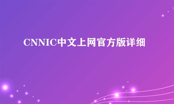 CNNIC中文上网官方版详细