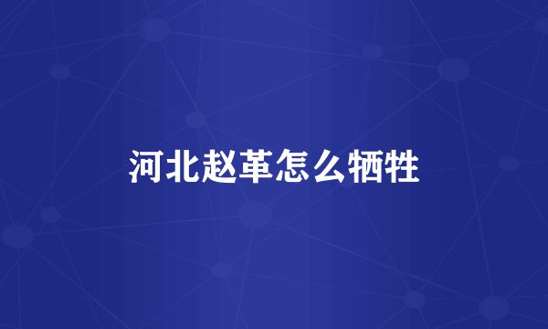 河北赵革怎么牺牲