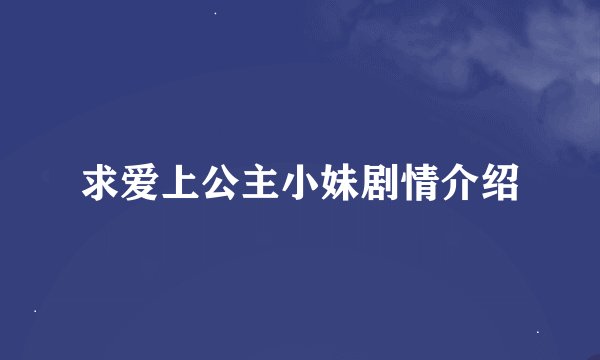求爱上公主小妹剧情介绍