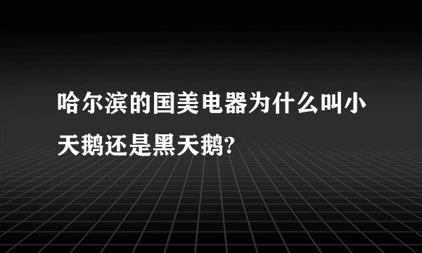 哈尔滨的国美电器为什么叫小天鹅还是黑天鹅?