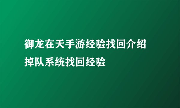 御龙在天手游经验找回介绍 掉队系统找回经验
