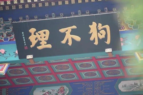 北京最后一家狗不理门店停业，为何它会败出京城餐饮业？