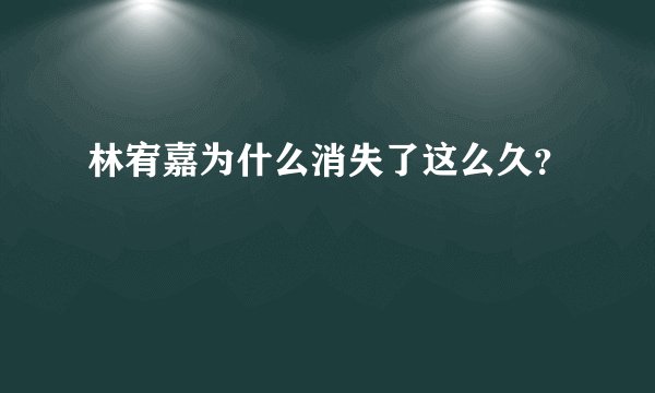 林宥嘉为什么消失了这么久？