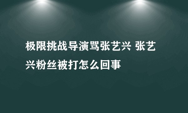 极限挑战导演骂张艺兴 张艺兴粉丝被打怎么回事