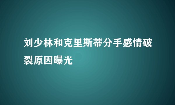 刘少林和克里斯蒂分手感情破裂原因曝光