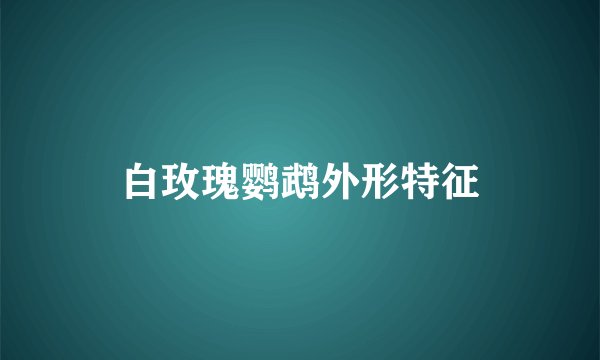 白玫瑰鹦鹉外形特征