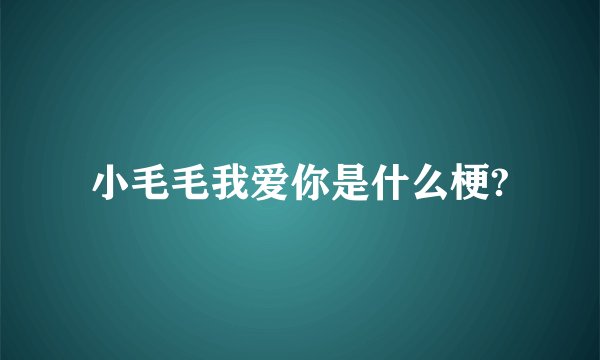 小毛毛我爱你是什么梗?