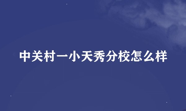 中关村一小天秀分校怎么样