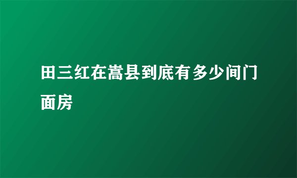 田三红在嵩县到底有多少间门面房