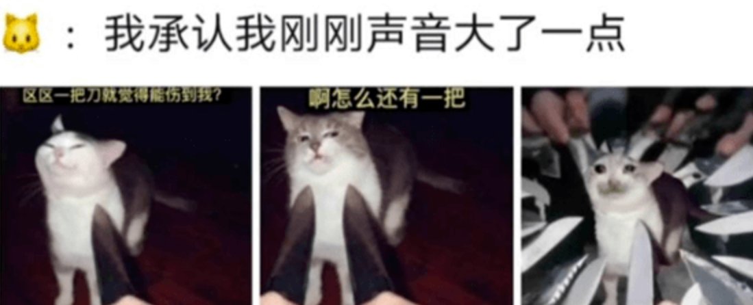 我承认我刚才说话声音有点大是什么梗