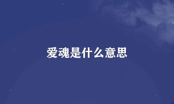 爱魂是什么意思