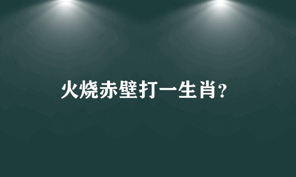 火烧赤壁打一生肖?