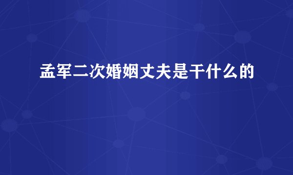孟军二次婚姻丈夫是干什么的