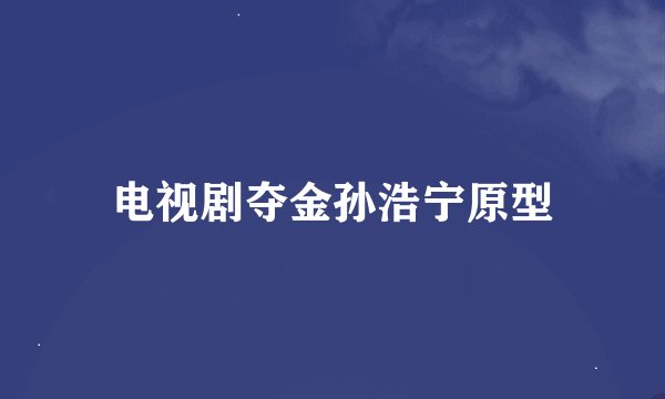 电视剧夺金孙浩宁原型