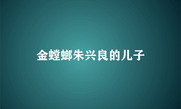 金螳螂朱兴良的儿子