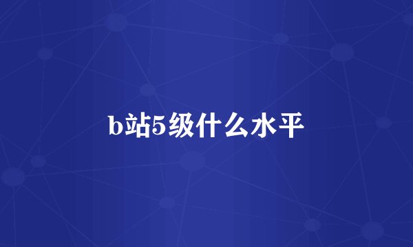b站5级什么水平