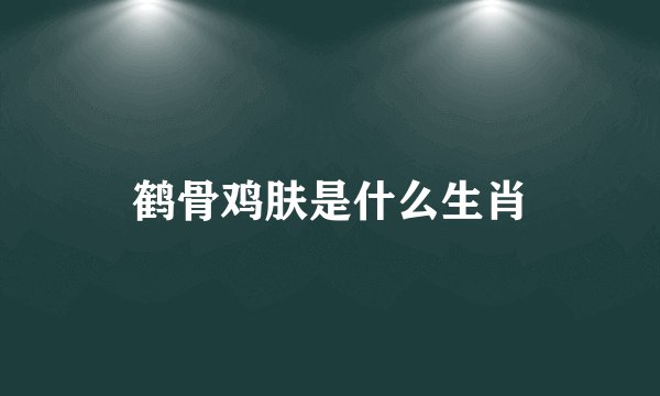 鹤骨鸡肤是什么生肖