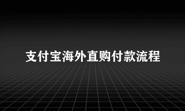 支付宝海外直购付款流程