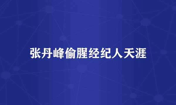 张丹峰偷腥经纪人天涯