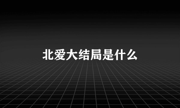 北爱大结局是什么
