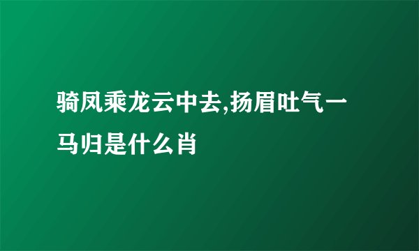 骑凤乘龙云中去,扬眉吐气一马归是什么肖