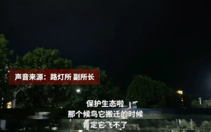 湖南某广场为候鸟连关3天射灯，射灯对候鸟有影响吗？