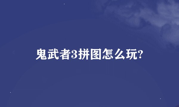 鬼武者3拼图怎么玩?