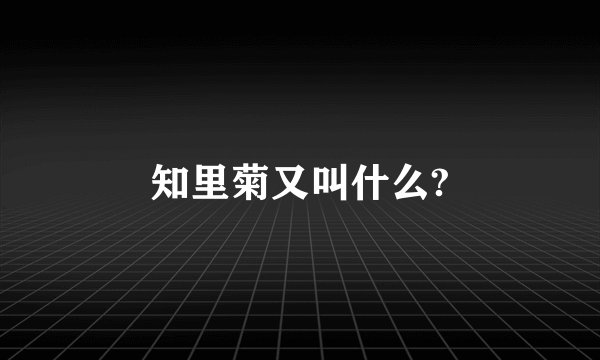 知里菊又叫什么?