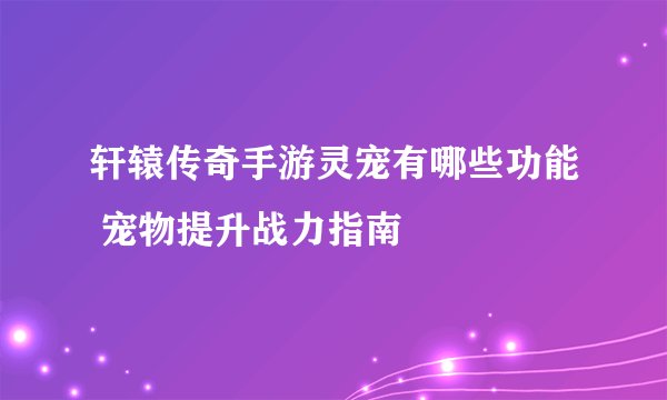 轩辕传奇手游灵宠有哪些功能 宠物提升战力指南