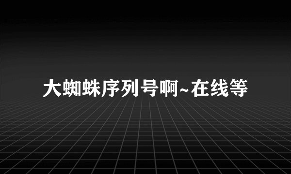 大蜘蛛序列号啊~在线等