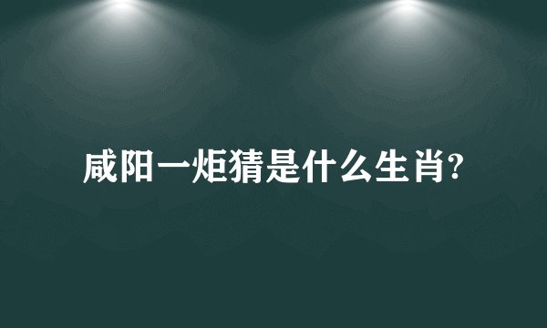 咸阳一炬猜是什么生肖?