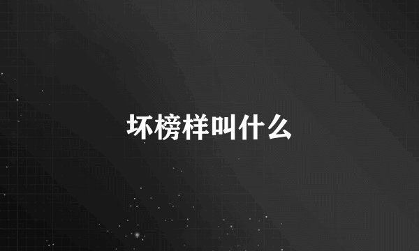 坏榜样叫什么