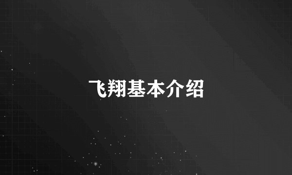 飞翔基本介绍