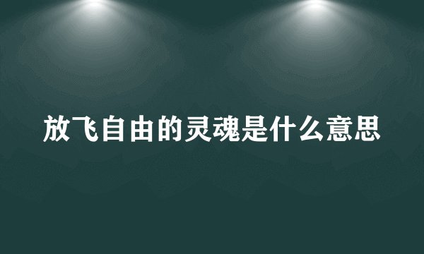 放飞自由的灵魂是什么意思