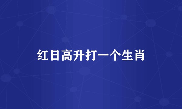 红日高升打一个生肖