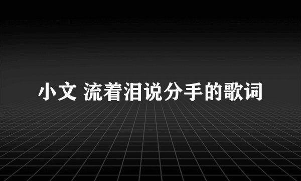 小文 流着泪说分手的歌词