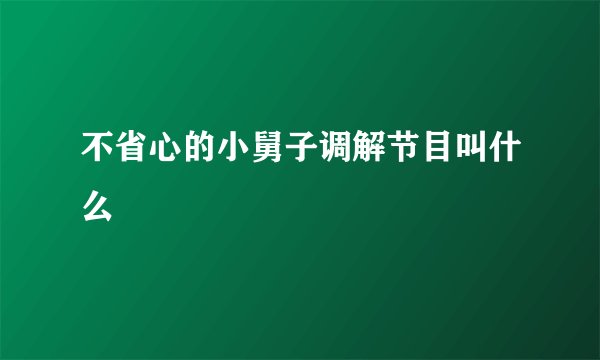 不省心的小舅子调解节目叫什么
