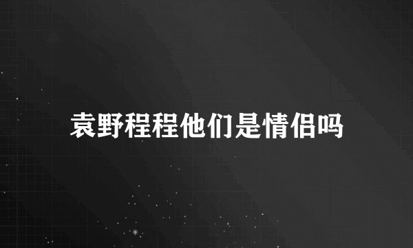 袁野程程他们是情侣吗