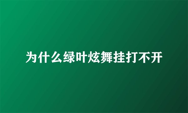 为什么绿叶炫舞挂打不开