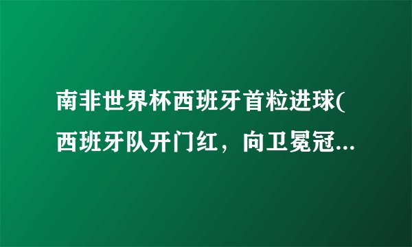 南非世界杯西班牙首粒进球(西班牙队开门红，向卫冕冠军发起挑战)