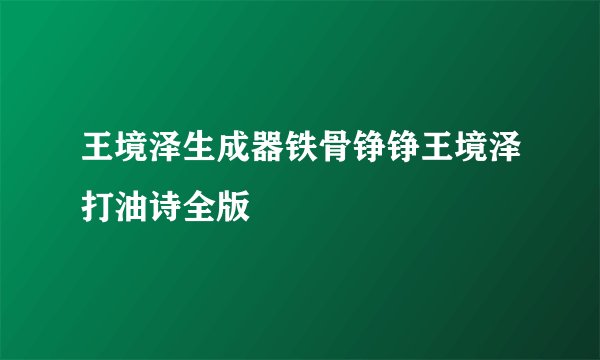 王境泽生成器铁骨铮铮王境泽打油诗全版