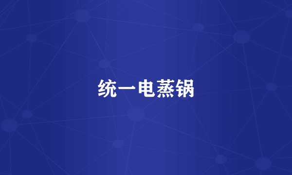 统一电蒸锅