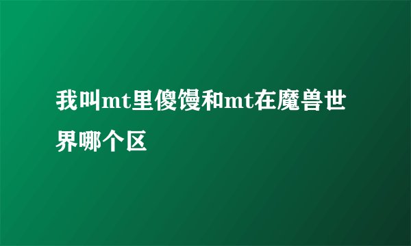 我叫mt里傻馒和mt在魔兽世界哪个区