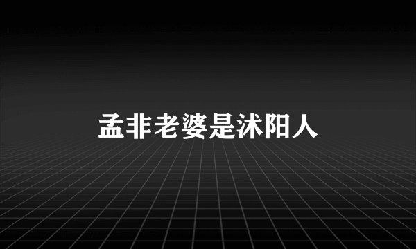 孟非老婆是沭阳人