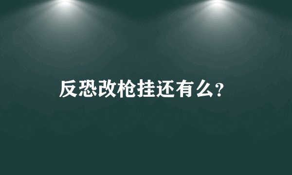 反恐改枪挂还有么？