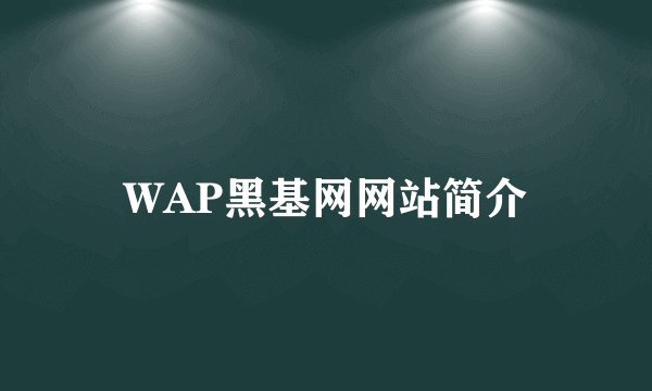 WAP黑基网网站简介