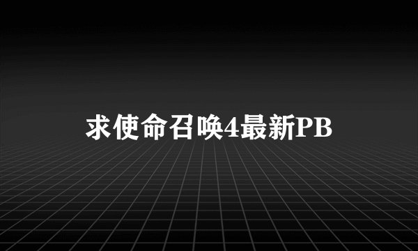 求使命召唤4最新PB