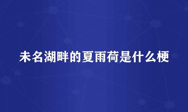 未名湖畔的夏雨荷是什么梗