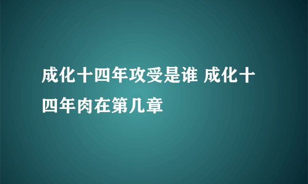 成化十四年攻受是谁 成化十四年肉在第几章