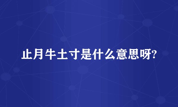 止月牛土寸是什么意思呀?